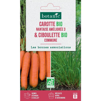 Choisir le bon fruit et extraire les graines