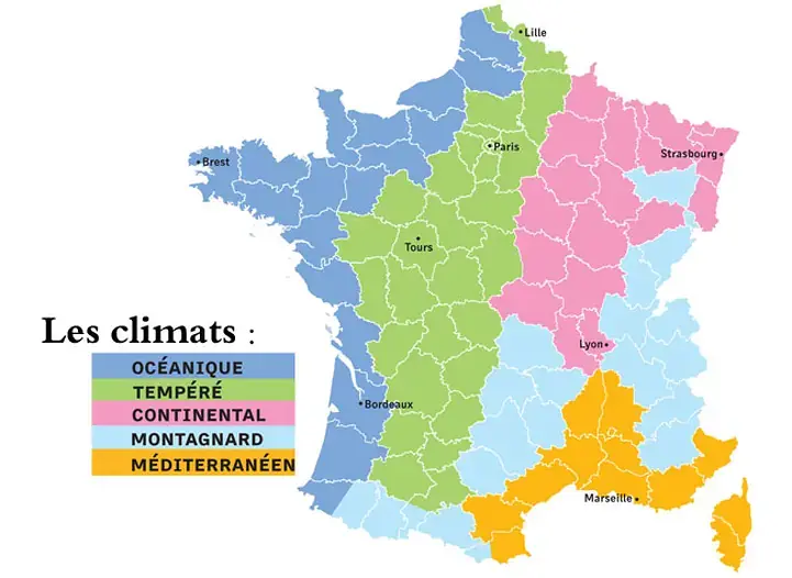 Comprendre la zone 7 en France : un climat doux pour vos fru