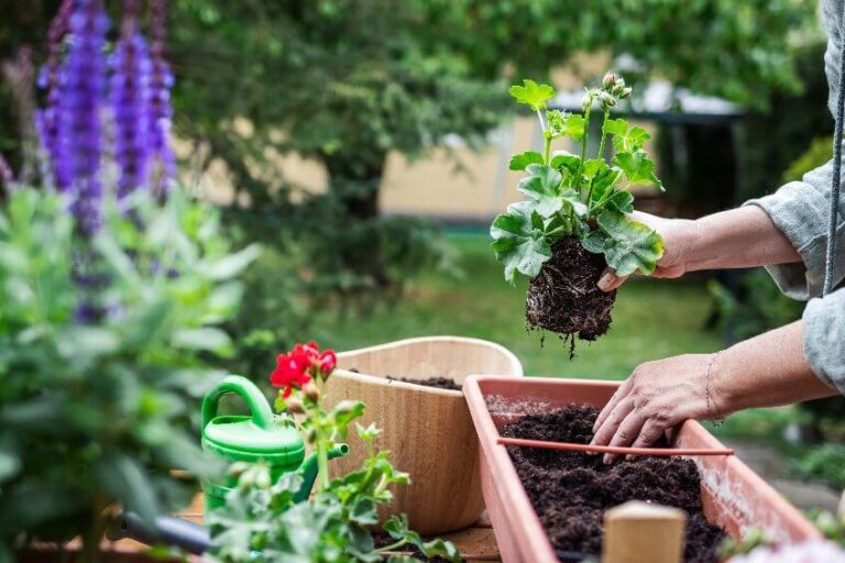 Les 12 légumes stars à cultiver en conteneur