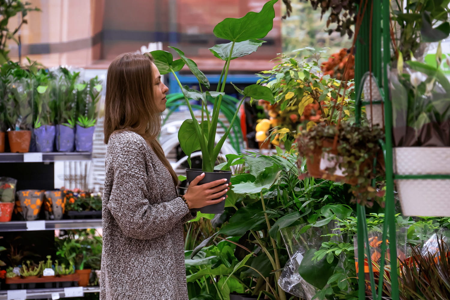 Les conséquences à long terme sur la santé de vos arbres et