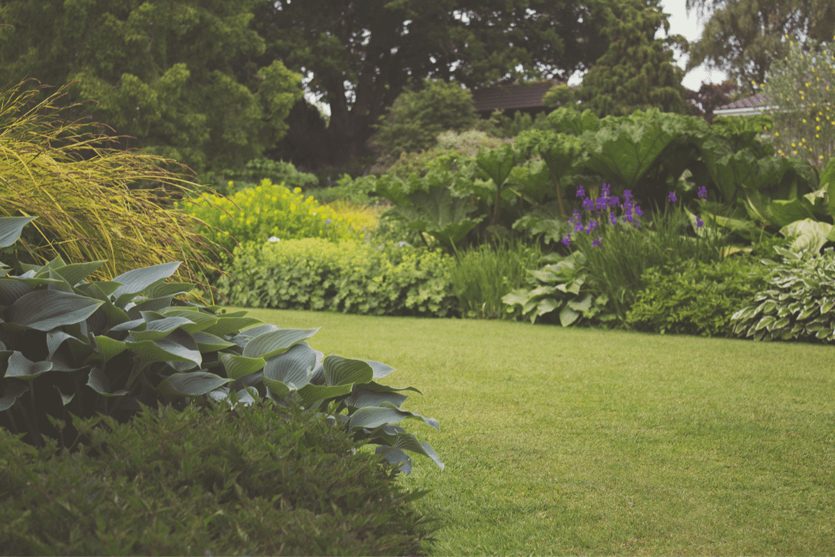 Pourquoi cet affrontement au jardin ?