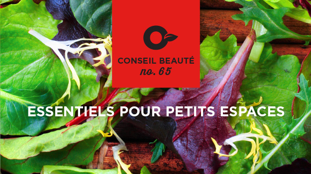Pourquoi cultiver des carottes en conteneur ? Un jeu d’enfan