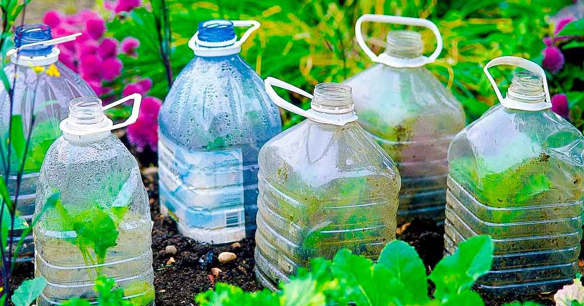 Pourquoi le potassium est essentiel à vos plantes ?