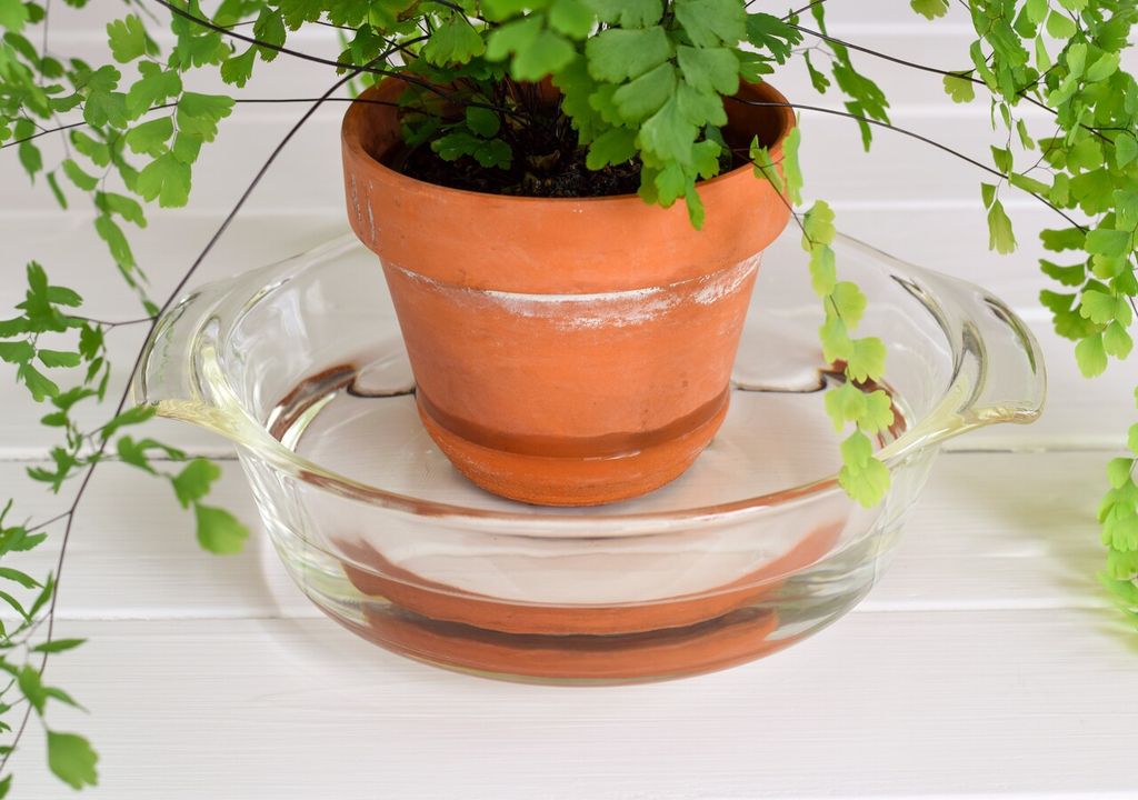 Pourquoi les pots en terre cuite sont-ils si appréciés en Fr