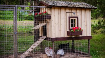 Pourquoi semer avant avril est crucial pour votre jardin
