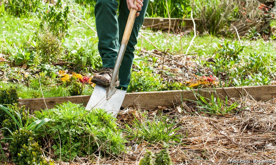 Préparer le sol : les gestes essentiels pour un potager d'hi