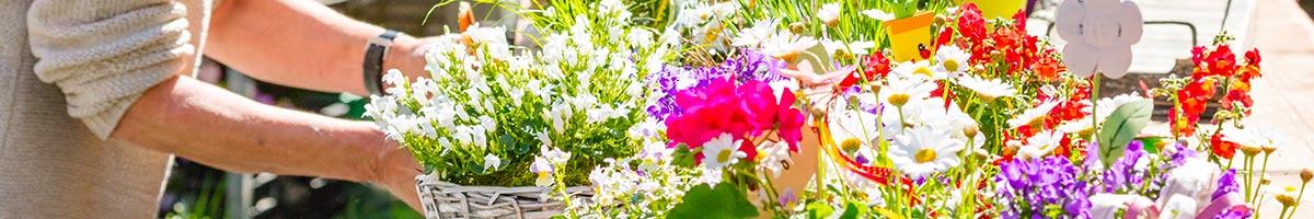 Ajouter de la couleur facilement