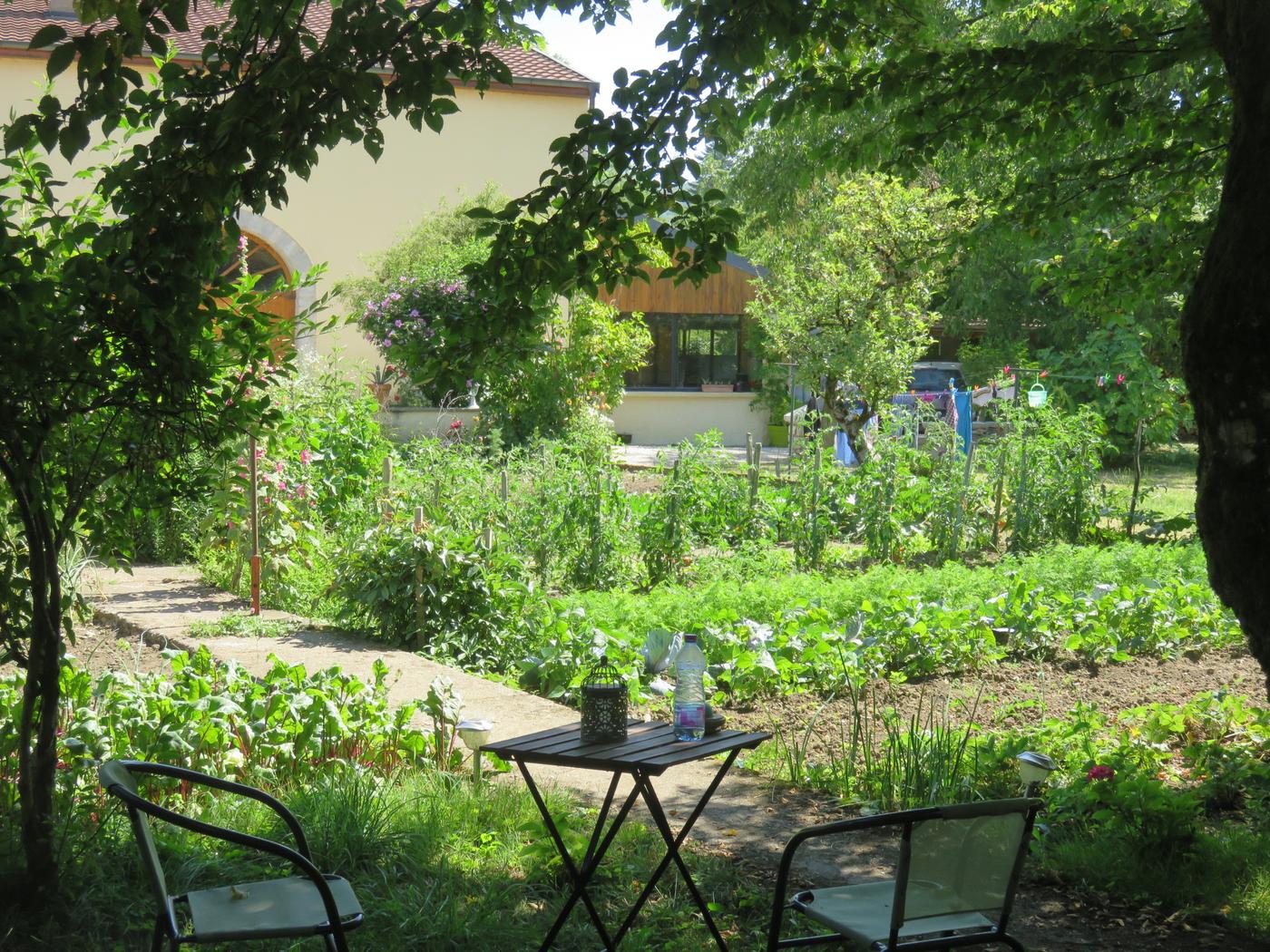 Le potager entre dans le salon