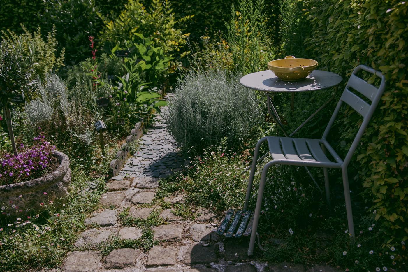 Pourquoi certaines plantes adorent la chaleur
