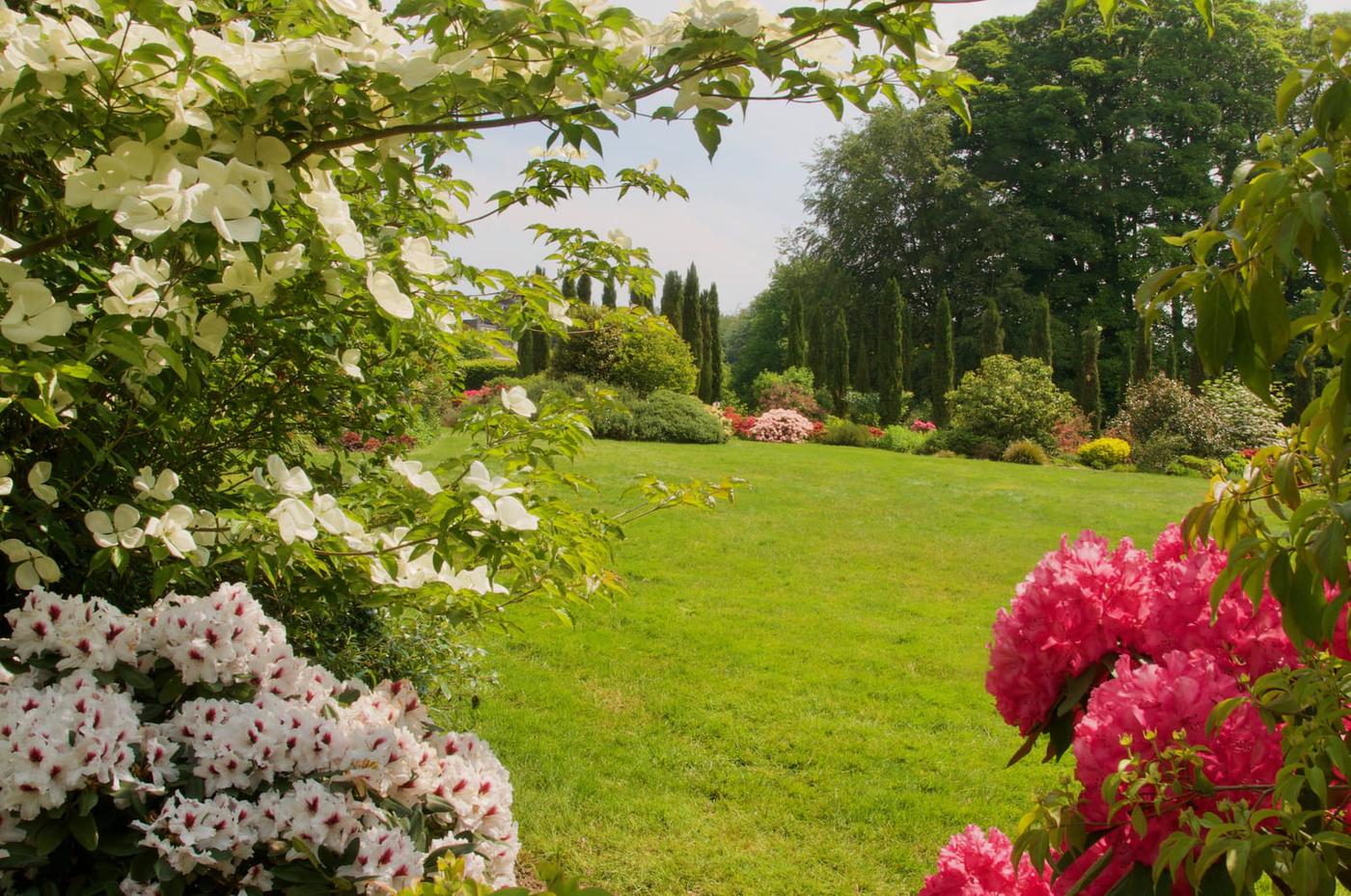 Le jardin cottage anglais version francaise
