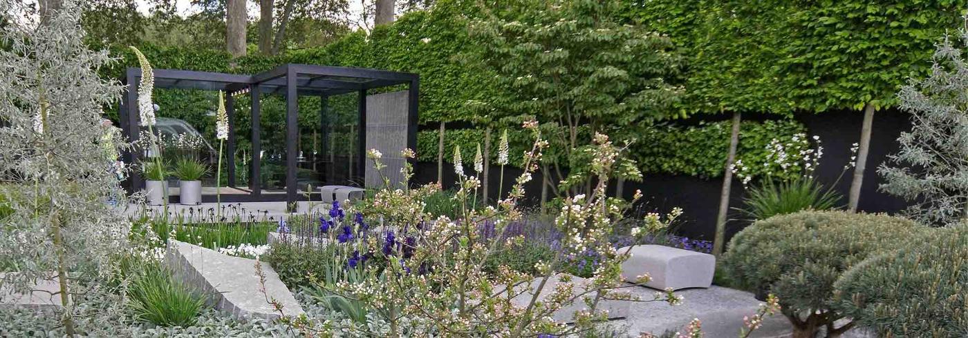 9 vivaces pour les etes chauds