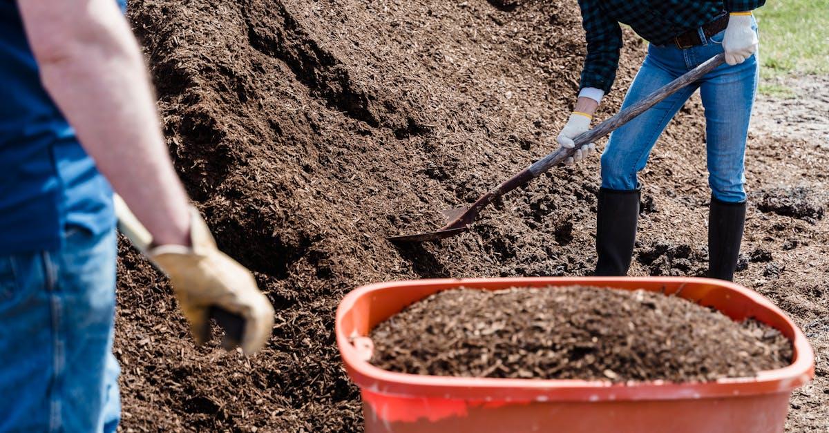 Enrichir le compost avec le the