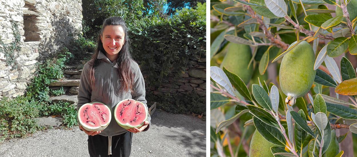 Les meilleures varietes pour le jardin