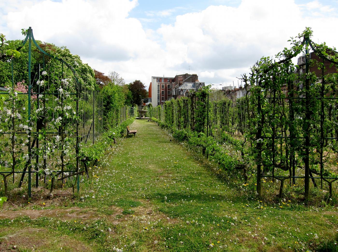 Le stade grossissement du fruit, periode critique