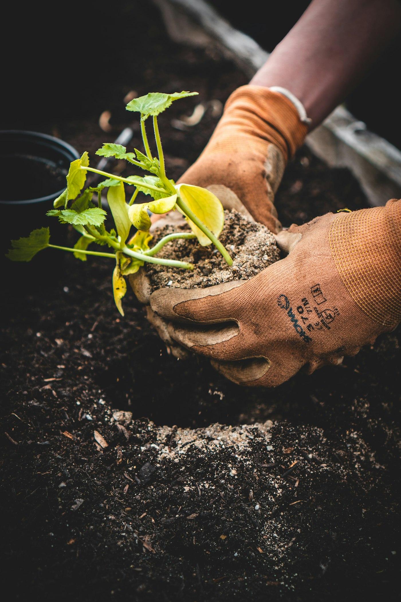 Les especes qu'on peut trouver dans les plantes