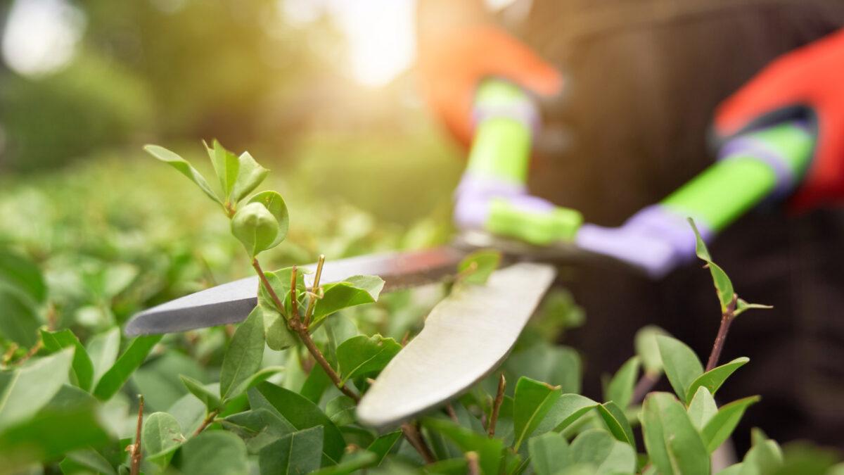 Comment la relacher ou la confier