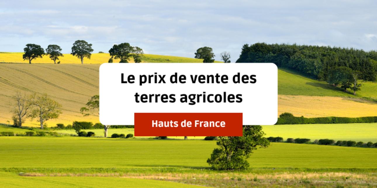 Les terres et substrats hors de prix