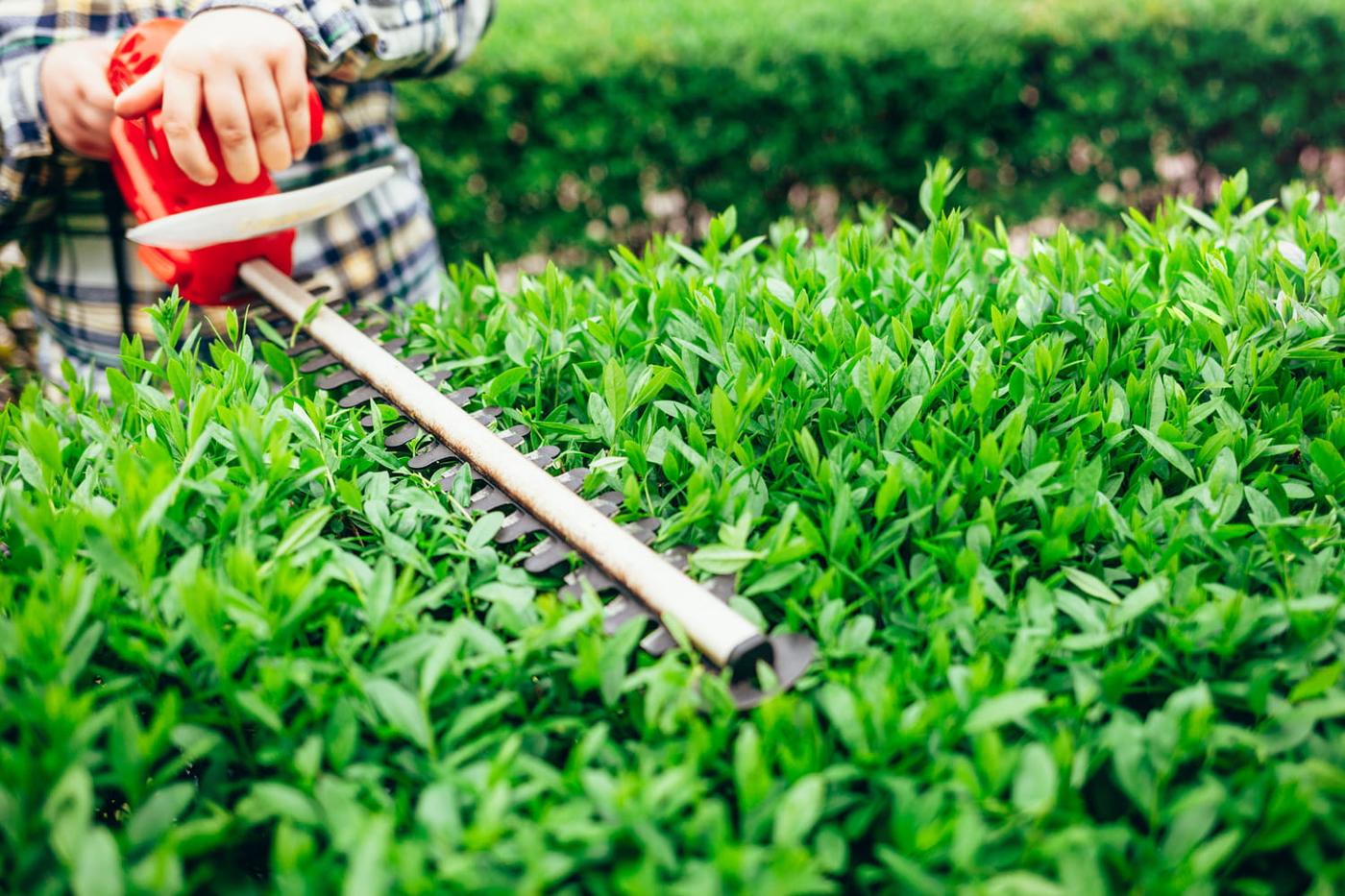 Qu'est-ce que le deadheading et pourquoi ca marche