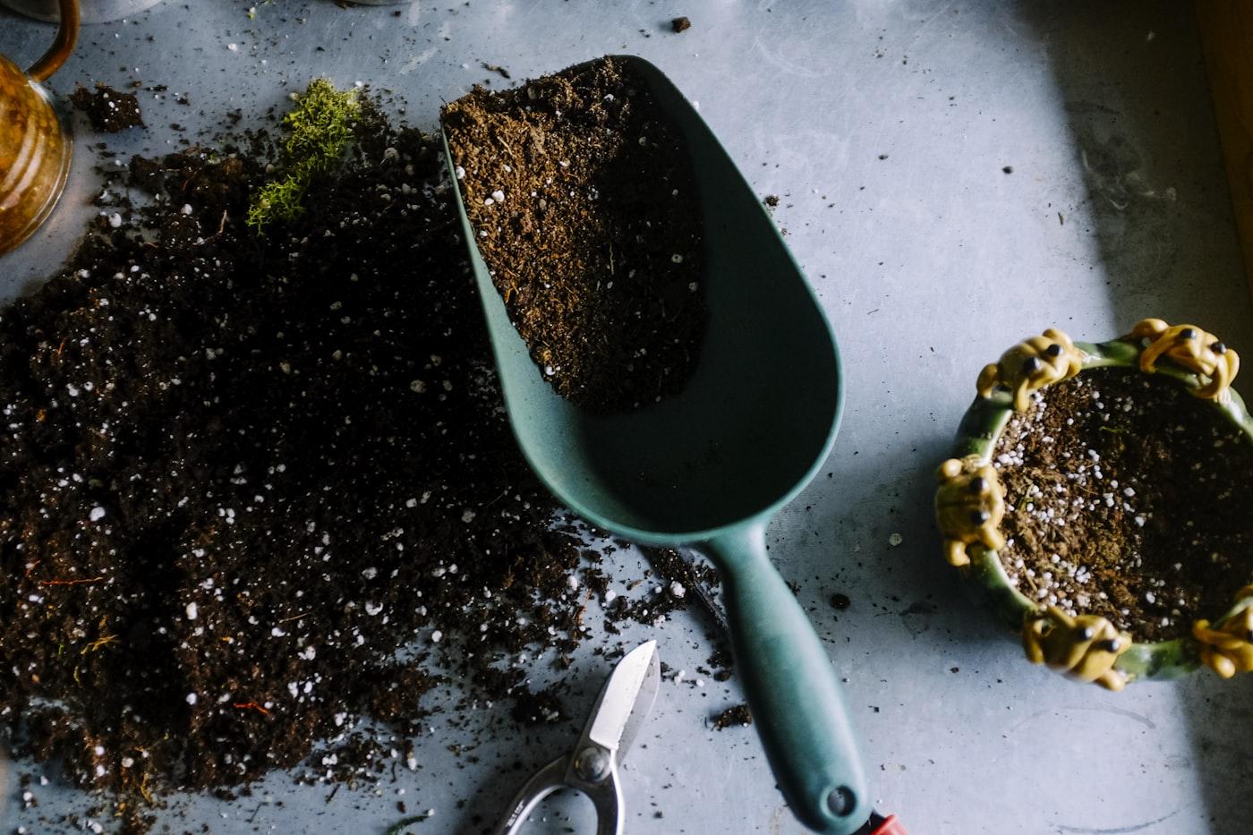 Les repulsifs naturels qui fonctionnent