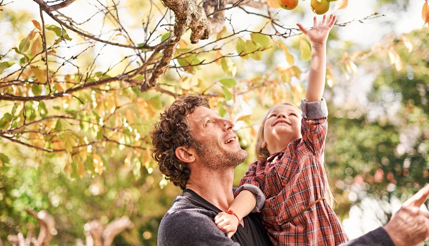 7 arbres fruitiers beaucoup plus simples