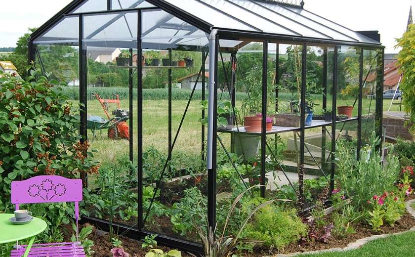 Pourquoi certaines plantes ne supportent pas la serre ?