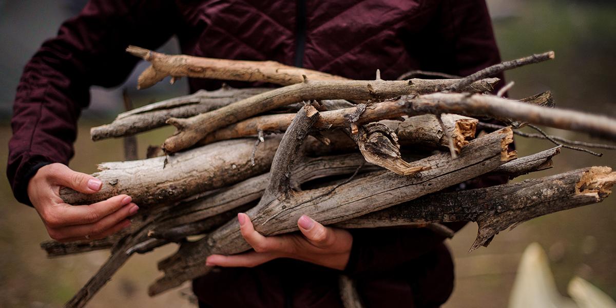 Le bois de mauvaise qualite