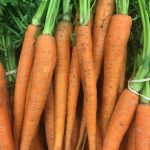Protéger son carré potager du gel avec un tunnel nantais ou un châssis froid