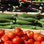 Les radis noirs d'hiver : le guide complet pour une récolte piquante et pleine de vitalité